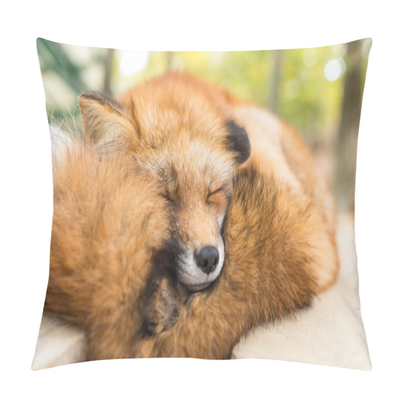 Personality  Sleepy Fox At Outdoor Pillow Covers