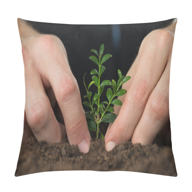 Personality  Hands Planting Small Tree Pillow Covers