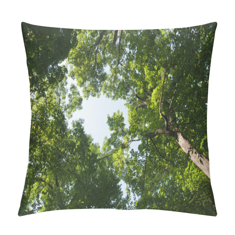 Personality  Green Forest Pillow Covers