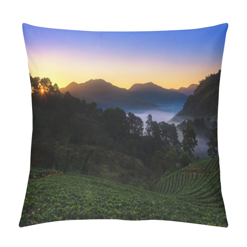 Personality  Strawberry Garden At Doi Ang Khang , Chiang Mai, Thailand Pillow Covers