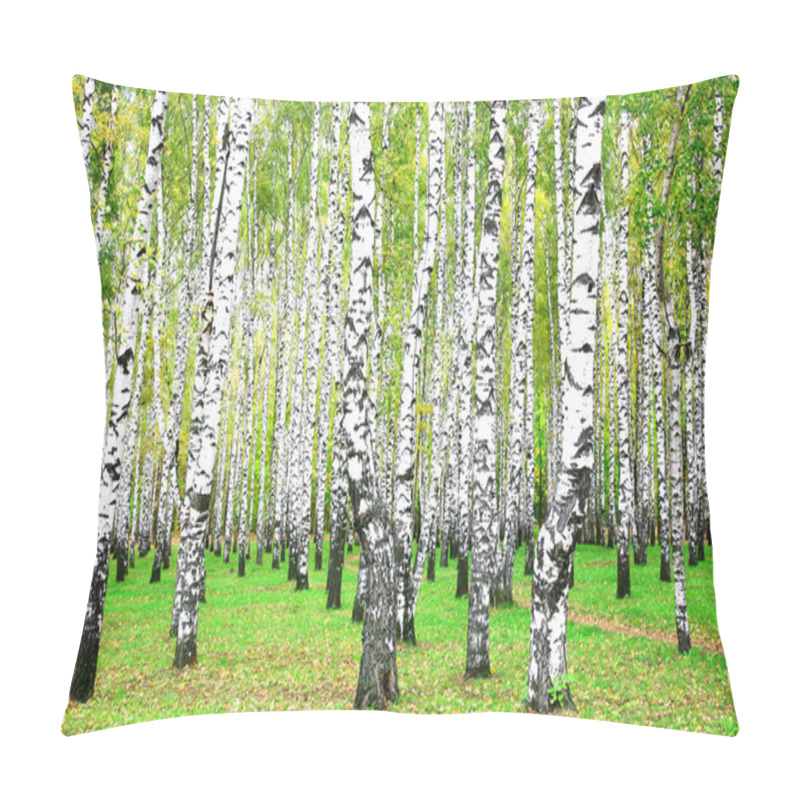 Personality  September Autumn Birch Grove Pillow Covers