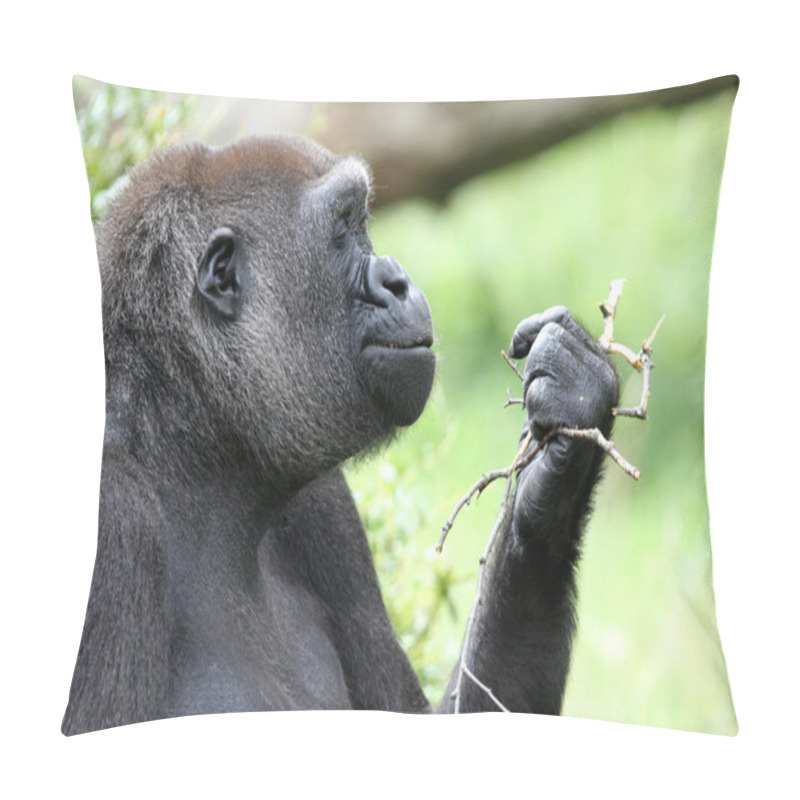 Personality  Close Up Of Silverback Gorilla Pillow Covers