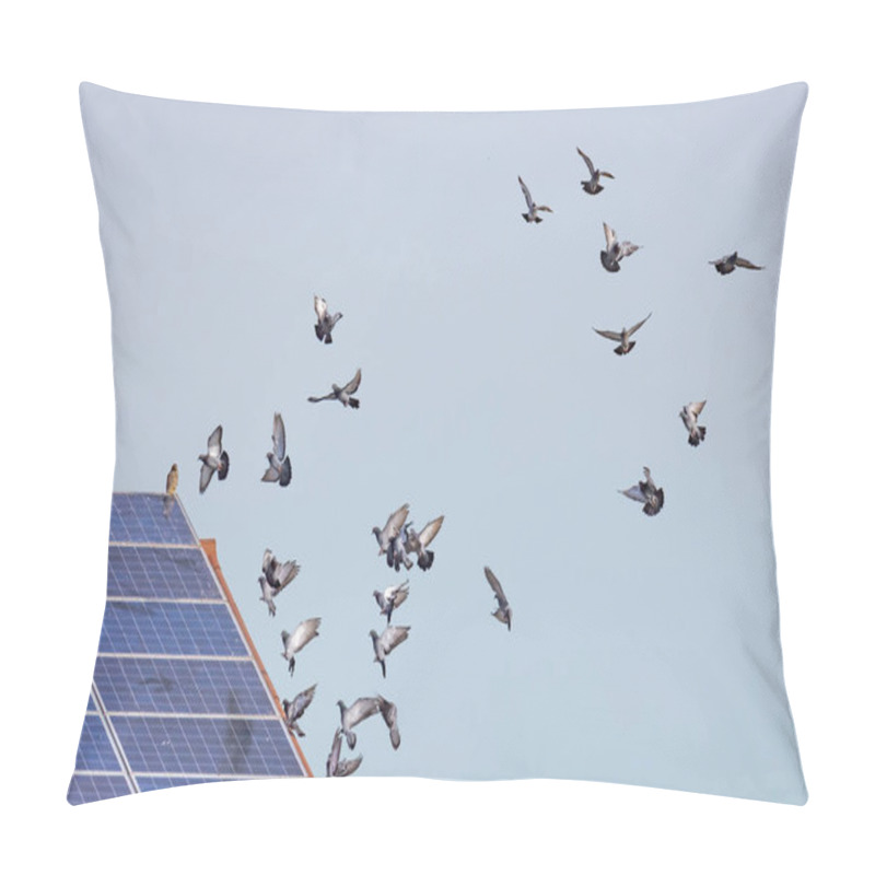 Personality  A Flock Of Flying Pigeons In Front Of A Roof With Solar Panels On Which A Hawk Is Sitting Pillow Covers