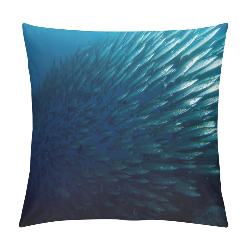 Personality  School Of Barracuda Pillow Covers