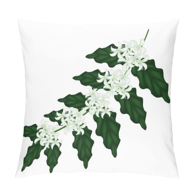 Personality  An Illustration Of Coffee Flowers On White Background Pillow Covers