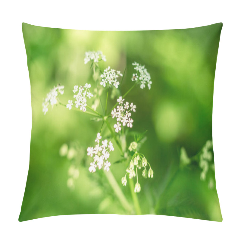 Personality  Marvel At The Exquisite Beauty Of A Delicate White Wood Anemone Flower In This Striking Close-up Photo, Capturing The Intricate Charm Of Nature's Floral Elegance Pillow Covers