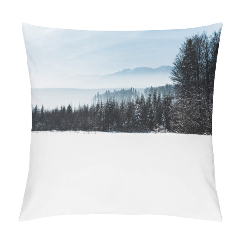 Personality  Blue Cloudy Sky And Winter Snowy Mountain Forest In Carpathians Pillow Covers