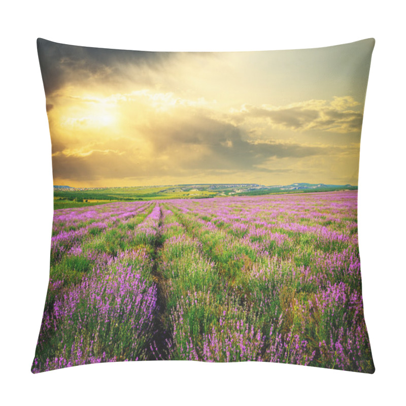 Personality  Meadow Of Lavender. Pillow Covers