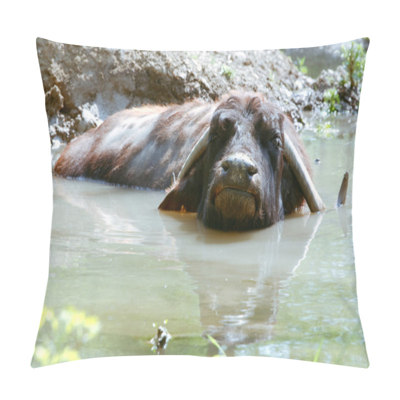 Personality  Buffalo Relaxing Pillow Covers