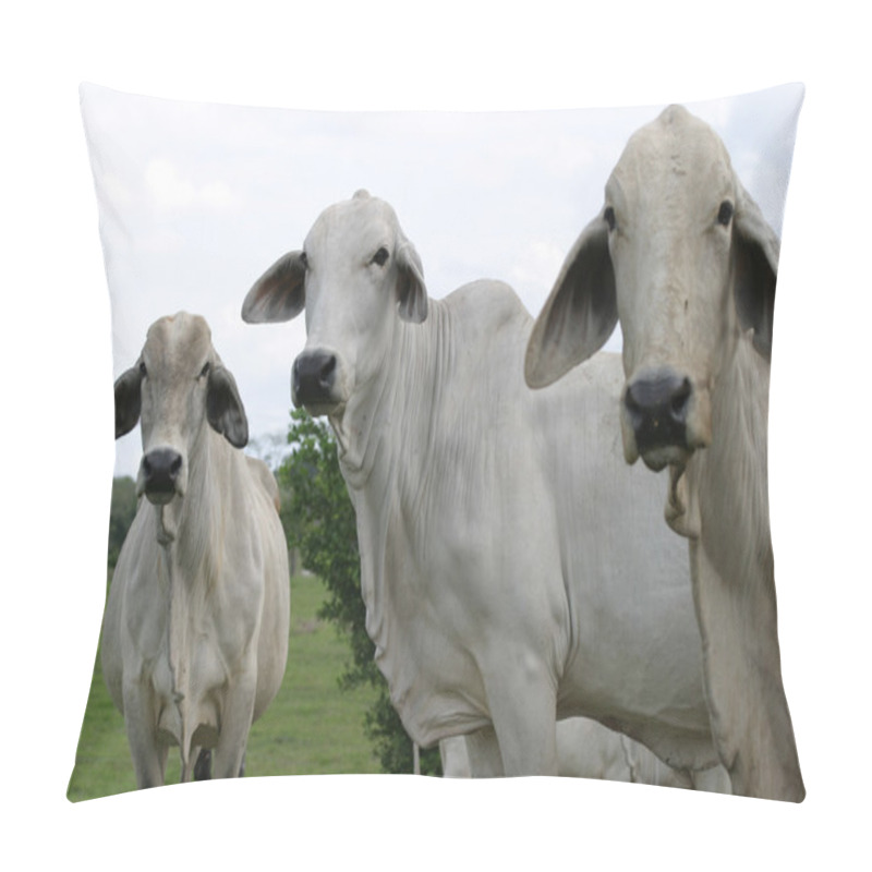 Personality  Cebu Cattle Pillow Covers