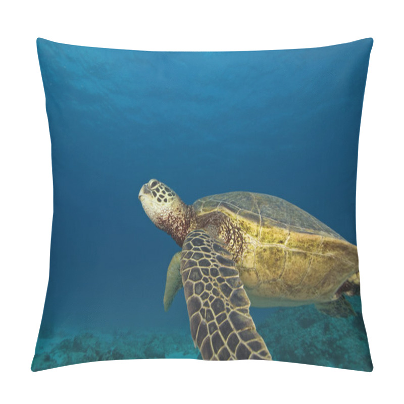 Personality  Tropical Reef Underwater Pillow Covers