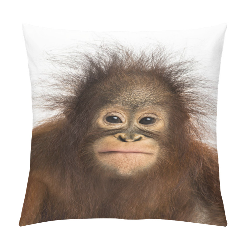 Personality  Close-up Of A Young Bornean Orangutan Facing, Looking At The Cam Pillow Covers