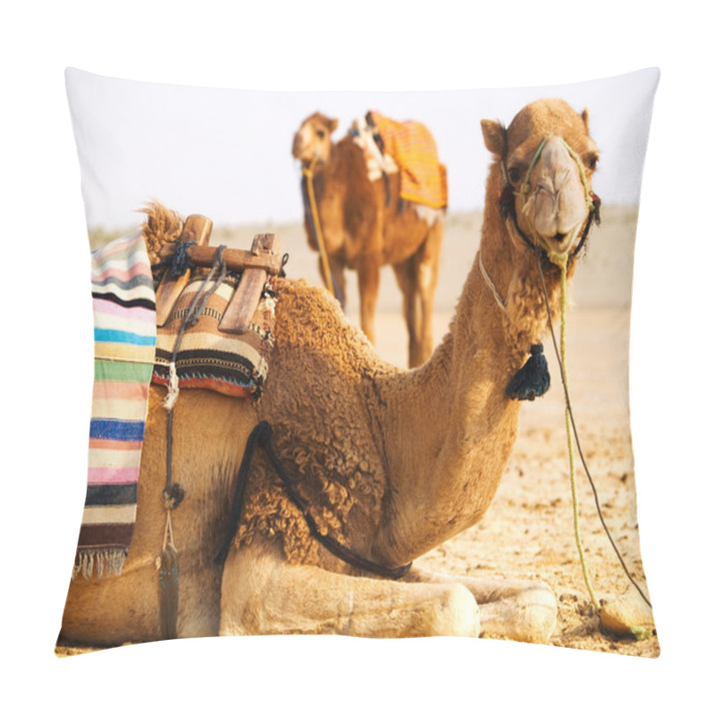 Personality  Two Camels In A Desert Pillow Covers