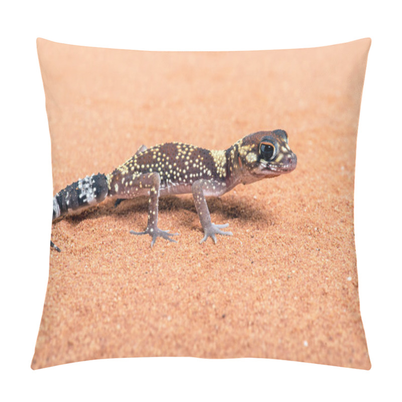 Personality  Australian Barking Gecko (Underwoodisaurus Milii) Pillow Covers