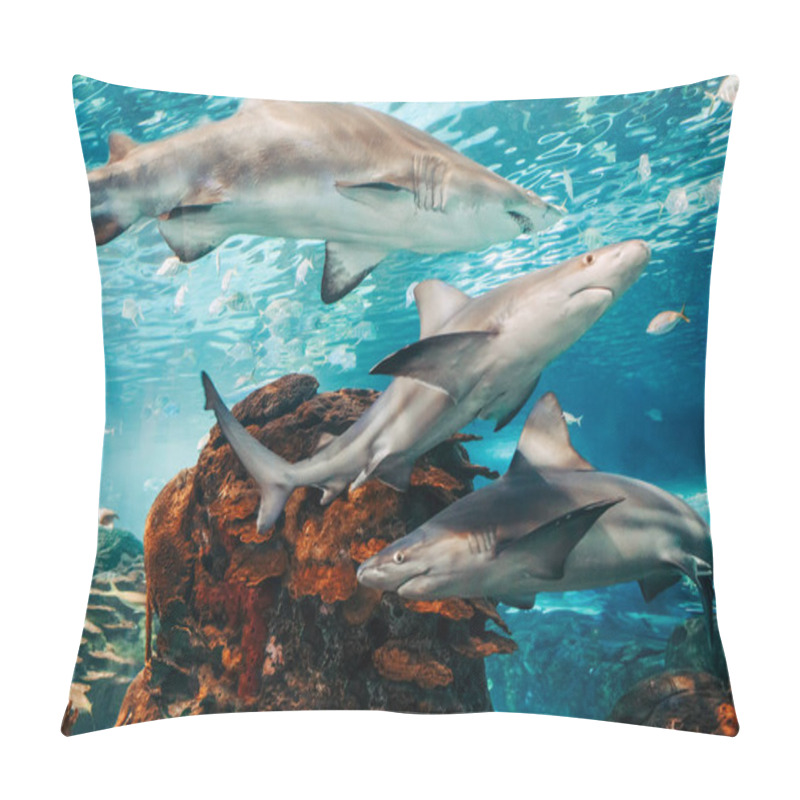 Personality  Giant Scary Sharks Under Water In Aquarium. Sea Ocean Marine Wildlife Predators Dangerous Animals Swimming In Blue Water. Underwater Life. Water Nature Fauna Background Wallpaper.  Pillow Covers