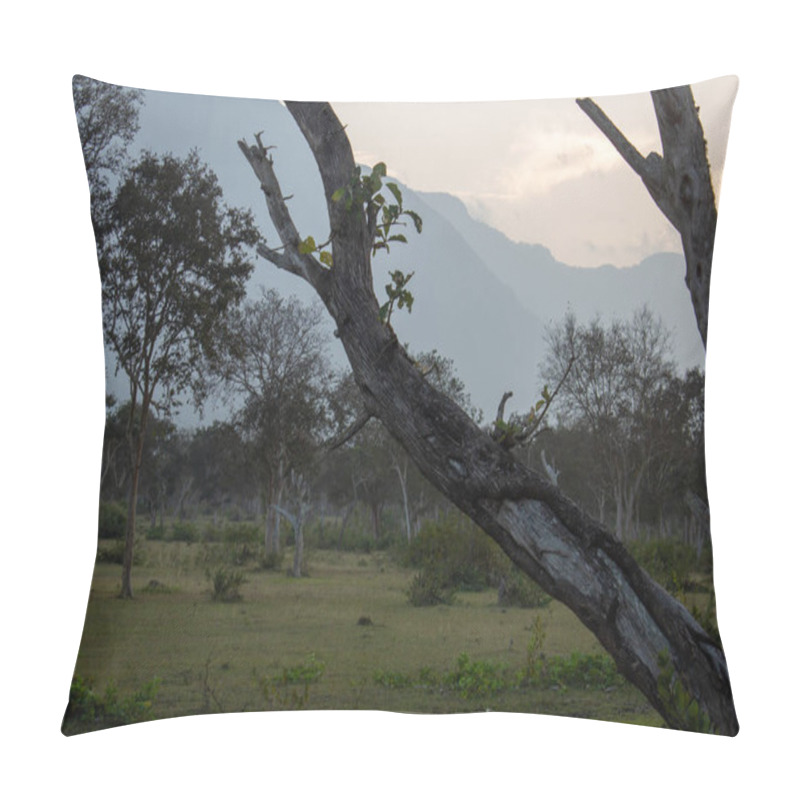 Personality  Beautiful View Of The Trees And Landscape Along Masinagudi, Mudumalai National Park, Tamil Nadu - Karnataka State Border, India. Pillow Covers