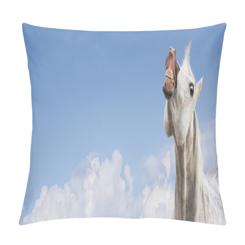 Personality  White Horse Smiling On Sky Background,banner Pillow Covers