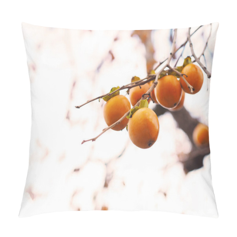 Personality  Persimmon Fruit On Tree In Japan Autumn. Pillow Covers