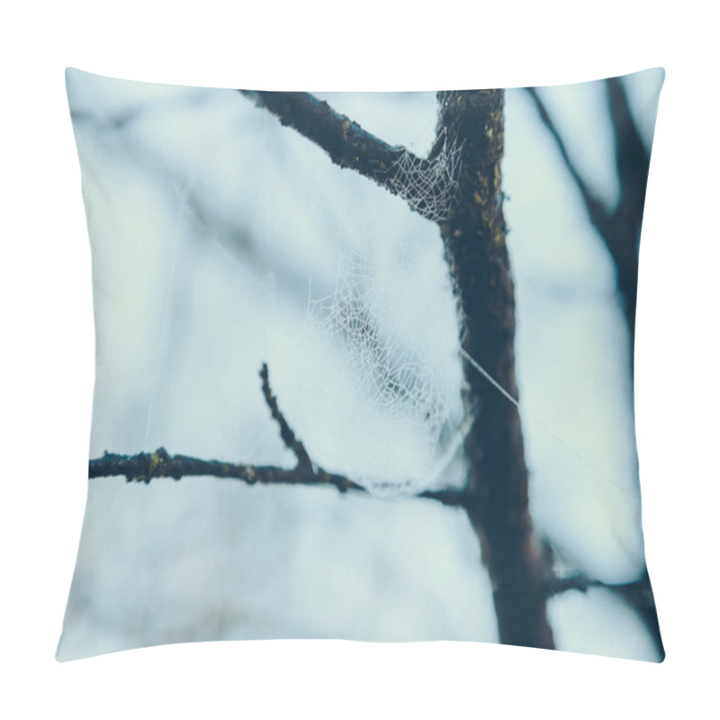 Personality  Close-up Shot Of Spider Web On Tree Branch In Front Of Blue Sky Pillow Covers