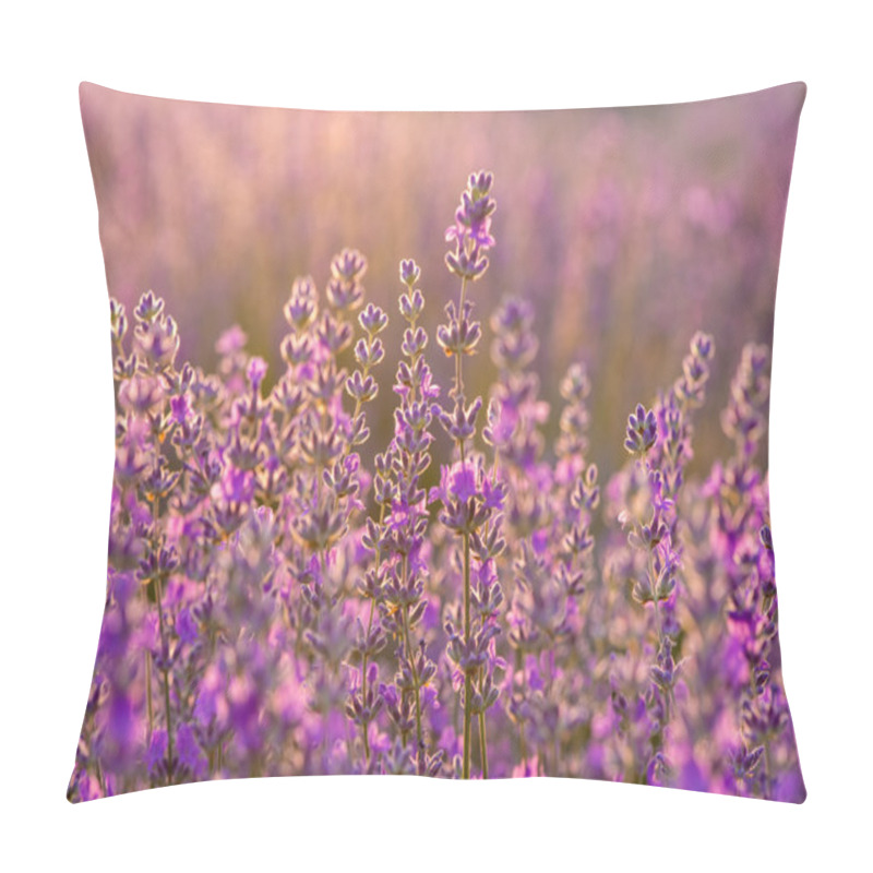 Personality  Meadow Of Lavender. Nature Composition. Selective Focus Pillow Covers