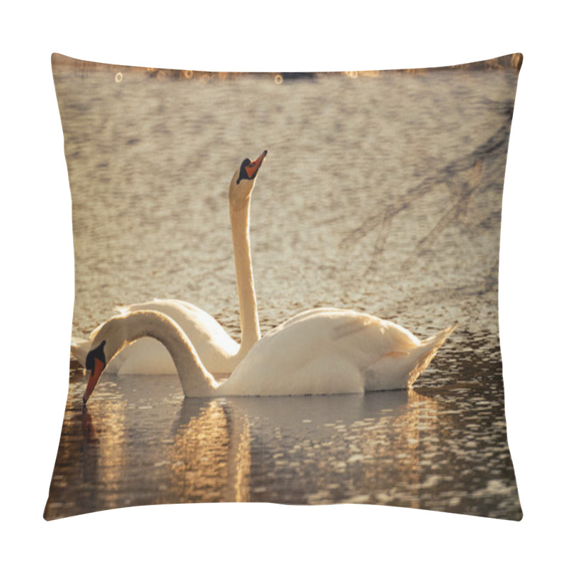 Personality  A Pair Of White Swans Illuminated By The Spring Sun On Water On A Blurred Background In Backlight3 Pillow Covers