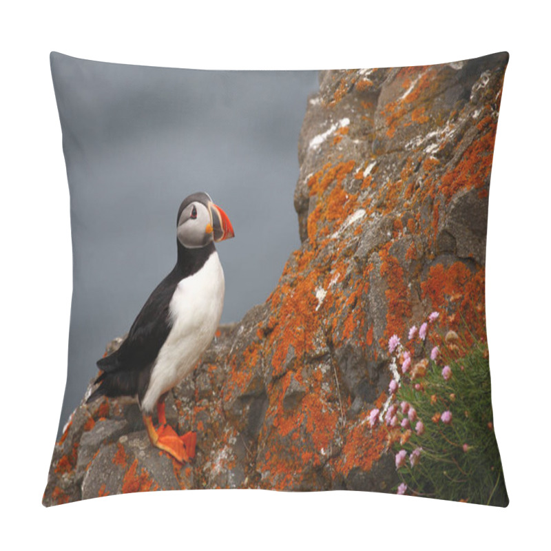 Personality  Atlantic Puffin At Wild Nature, Daytime View  Pillow Covers