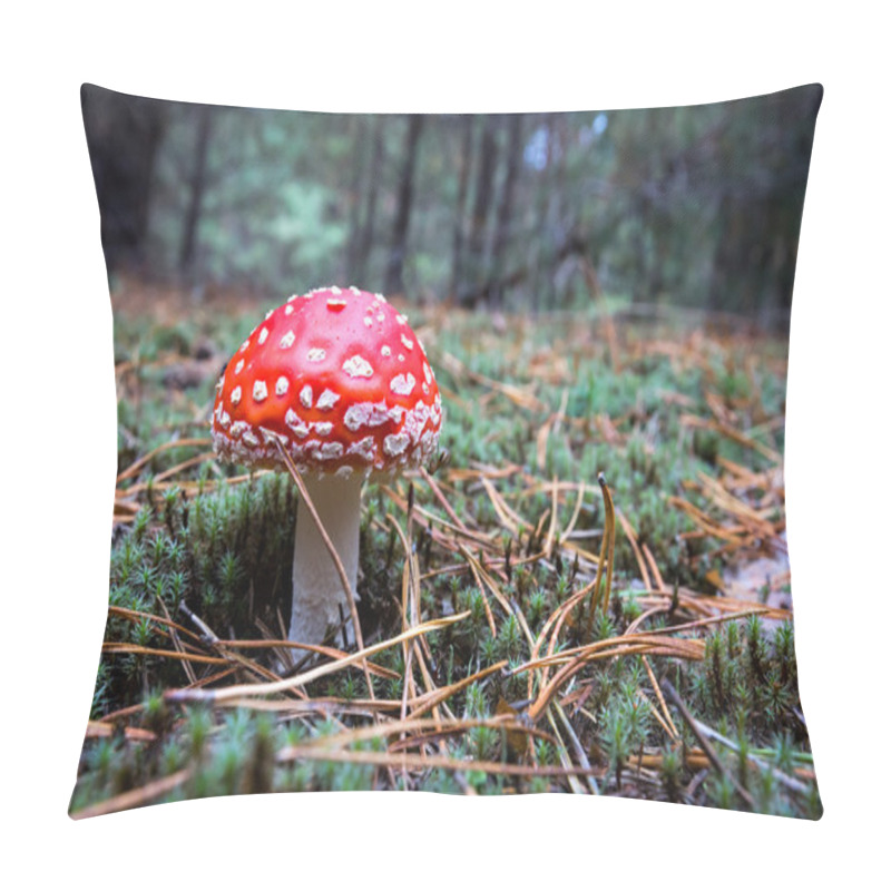 Personality  Fly Agaric Mushroom In Forest Pillow Covers