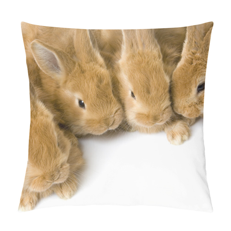 Personality  Group Of Bunnies Pillow Covers