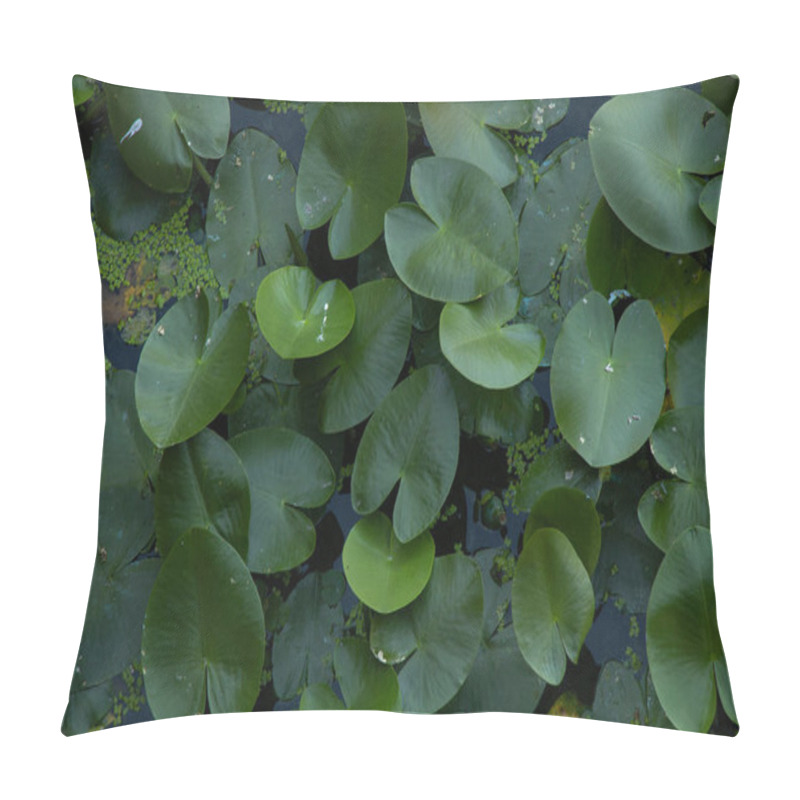 Personality  Water Lilies On River Water As A Background In Summer In Ukraine Close-up, Environment Pillow Covers