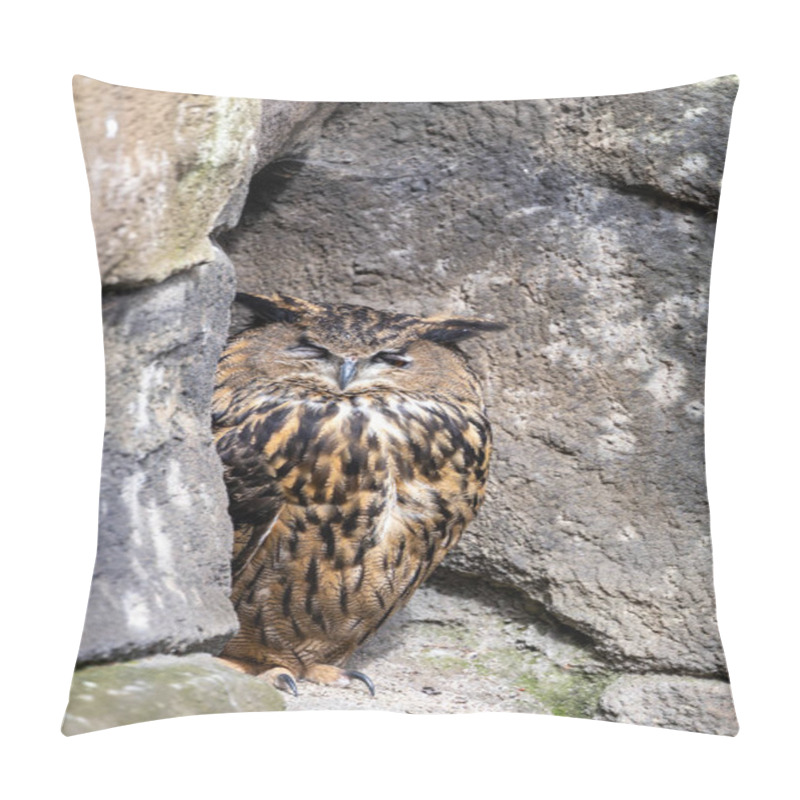 Personality  The Eurasian Eagle Owl Preys On Mammals, Birds, And Reptiles. Photo Taken In Natural Woodland Habitat. Pillow Covers