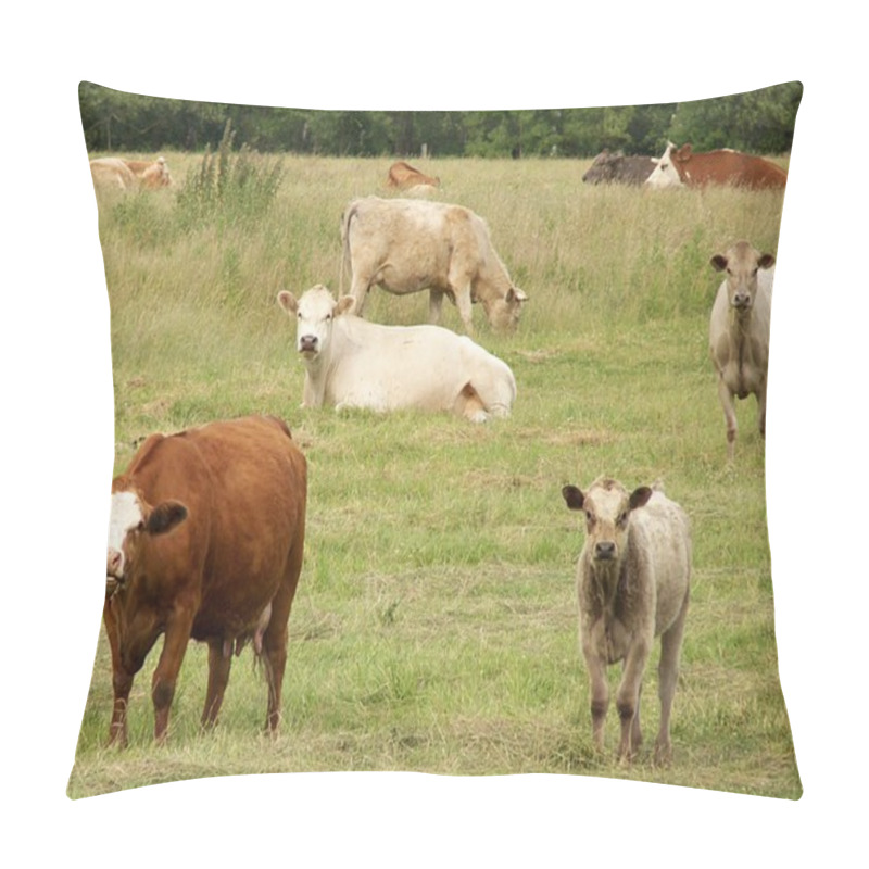 Personality  Cattle With Their Young In A Green Pasture Pillow Covers