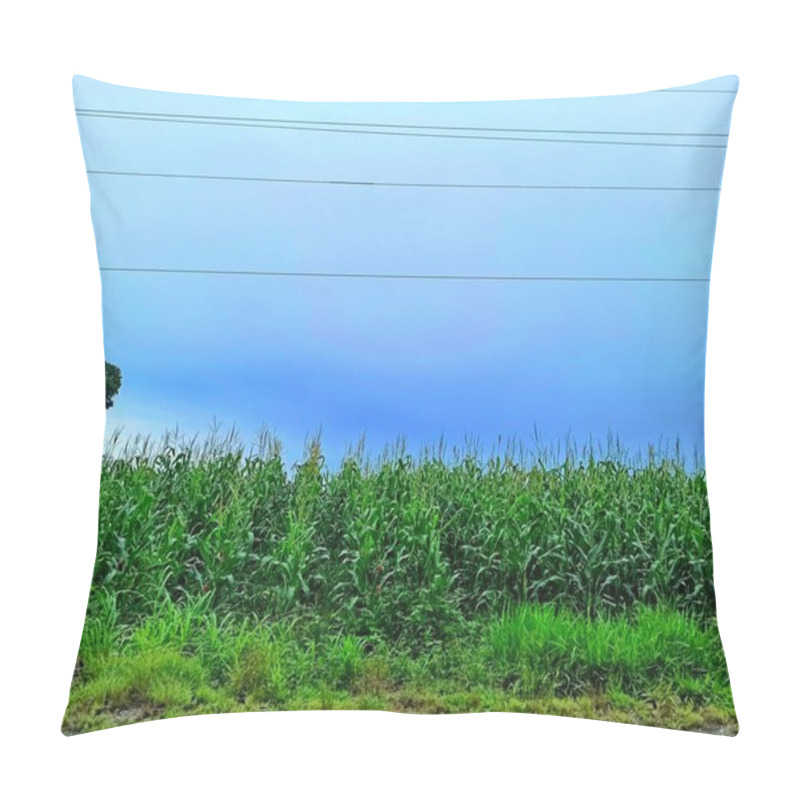 Personality  Vibrant Green Countryside In Sunny Peten, Guatemala Pillow Covers