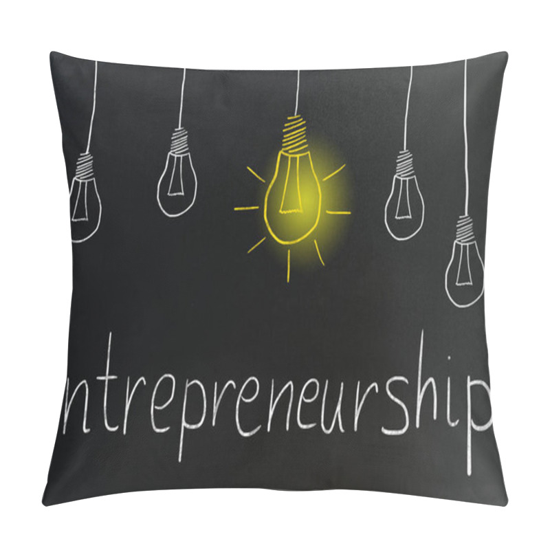 Personality  Entrepreneurship Concept On Blackboard Pillow Covers