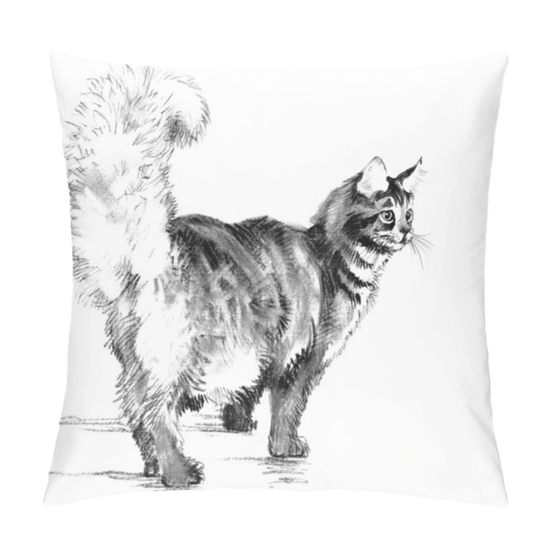 Personality  Black And White Hand Drawn Cat  Pillow Covers