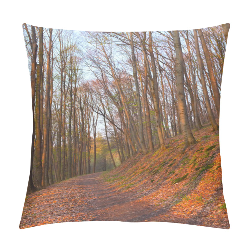 Personality  Path In A Beech Forest At Sunset Pillow Covers