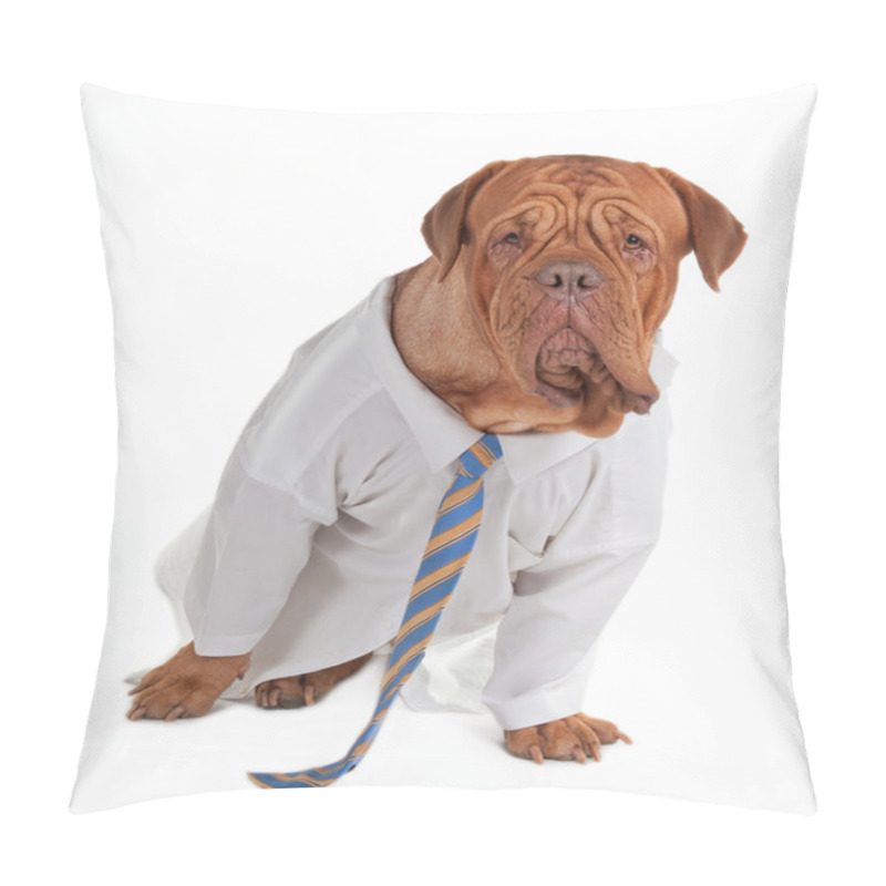 Personality  Dog Businessman Pillow Covers