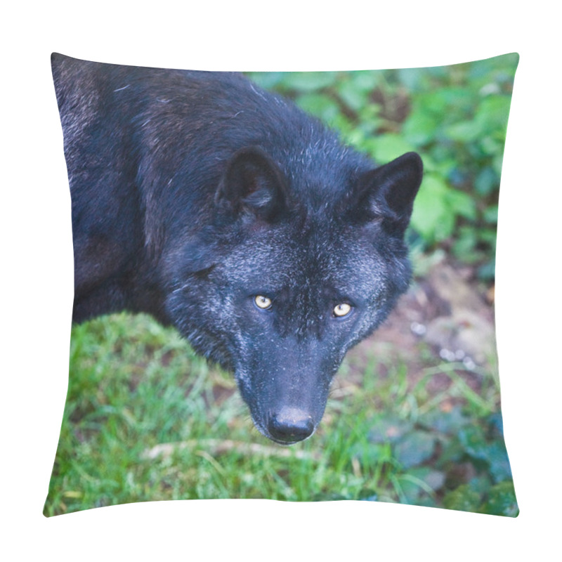 Personality  Black Wolf Pillow Covers