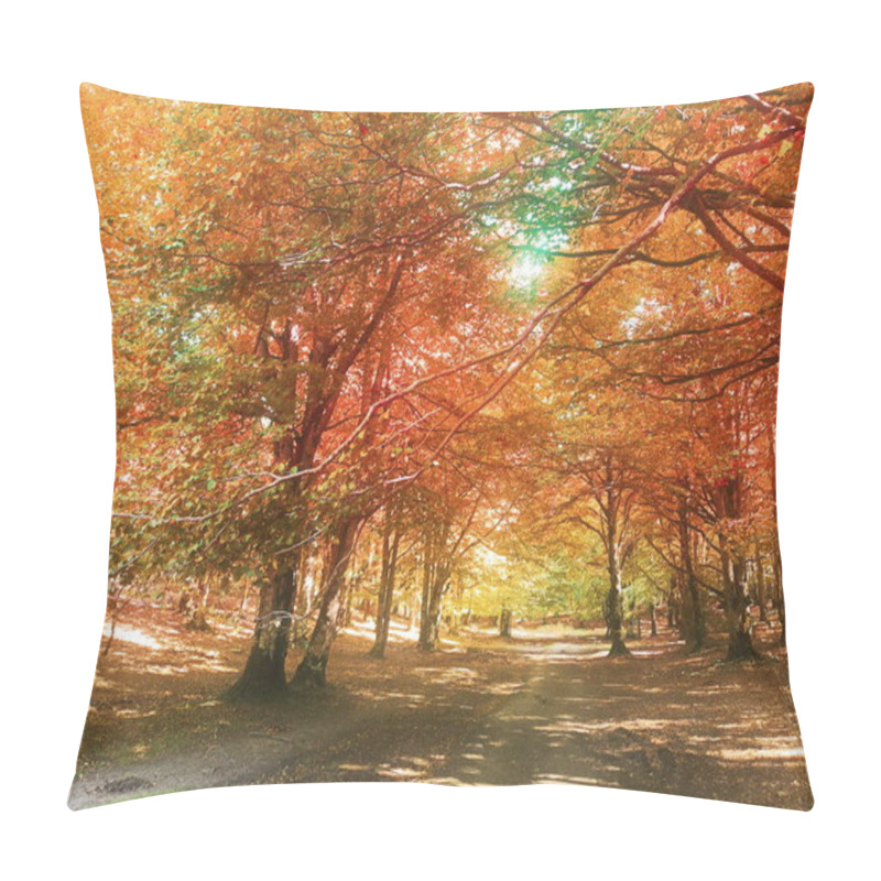 Personality  The Enchanted Forest Of The Urbasa Andia Natural Park In Navarra, Autumn, Diffuser Filter Is Used To Create Atmosphere Of Mystery Pillow Covers