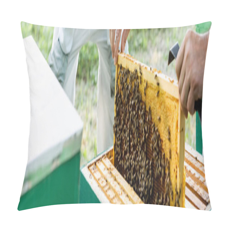 Personality  Partial View Of Beekeeper Holding Honeycomb Frame Near Blurred Colleague, Banner Pillow Covers