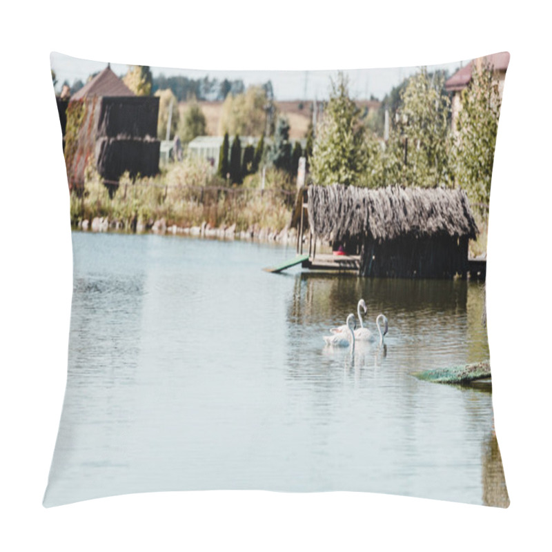 Personality  Pink Flamingos Swimming In Pond Near Buildings And Trees  Pillow Covers