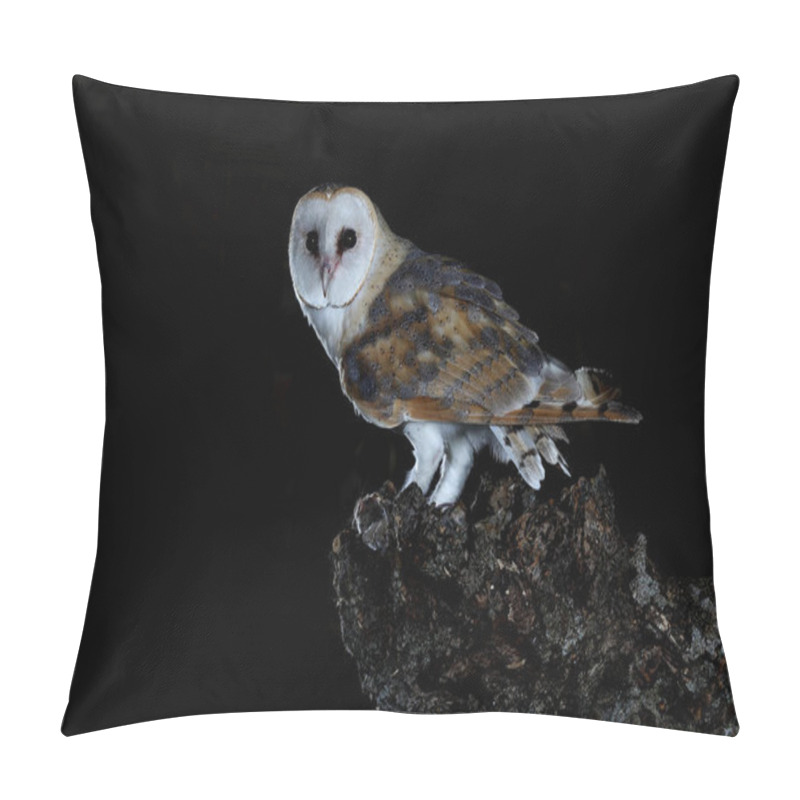 Personality  Barn Owl At His Night Innkeeper, Tyto Alba Pillow Covers