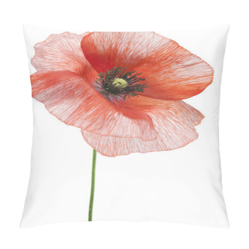 Personality  Poppy Pillow Covers