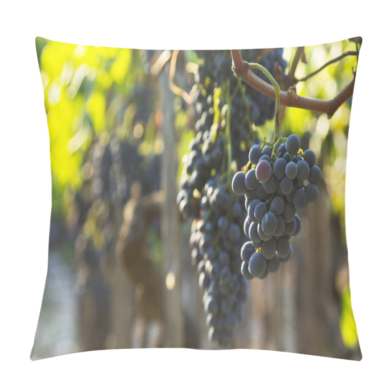 Personality  Grapes And Vineyards Pillow Covers