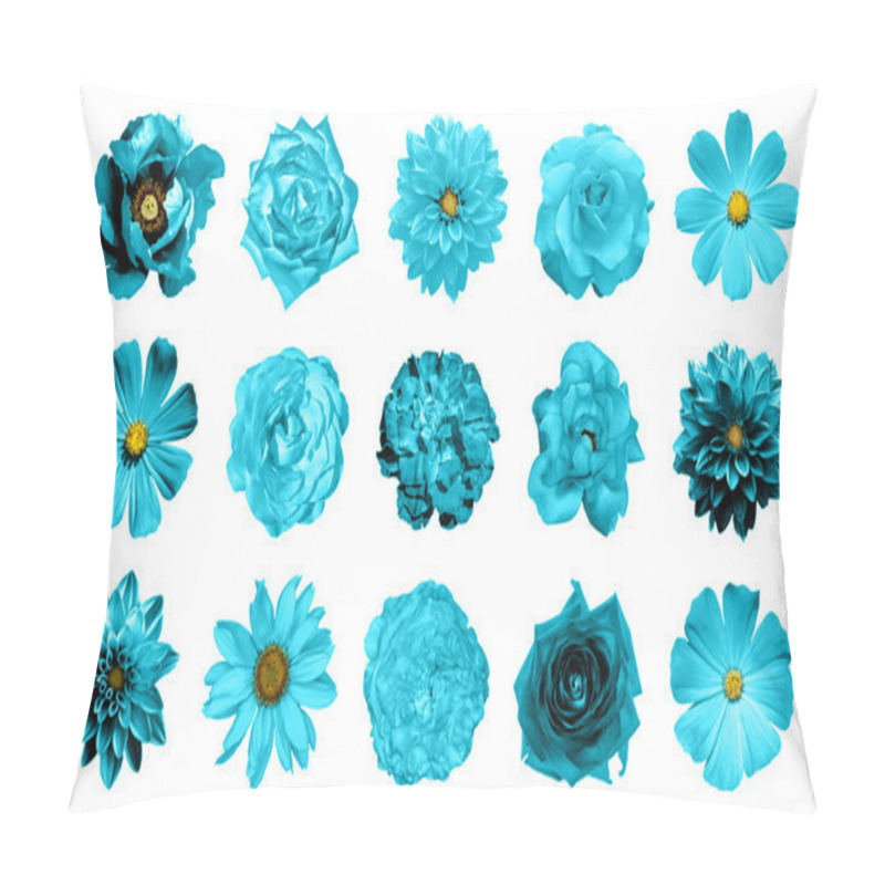 Personality  Mix Collage Of Natural And Surreal Cyan Flowers 15 In 1: Dahlias, Primulas, Perennial Aster, Daisy Flower, Roses, Peony Isolated On White Pillow Covers