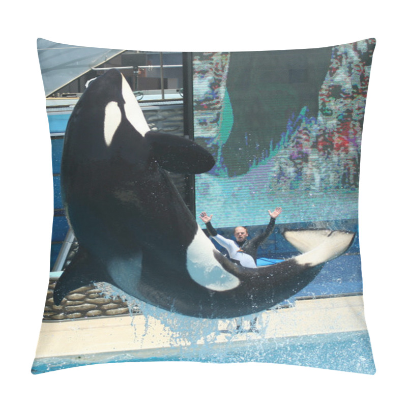 Personality  A Levitating Orca Pillow Covers