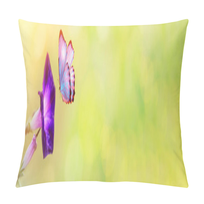 Personality  Petunia Macro In Summer Spring Field On Spring Background With Sunshine And A Flying Butterfly. Summer Natural Landscape With Copy Space. Pillow Covers