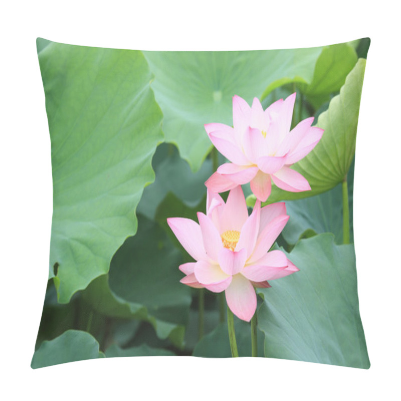 Personality  Blooming Lotus Flowers Pillow Covers