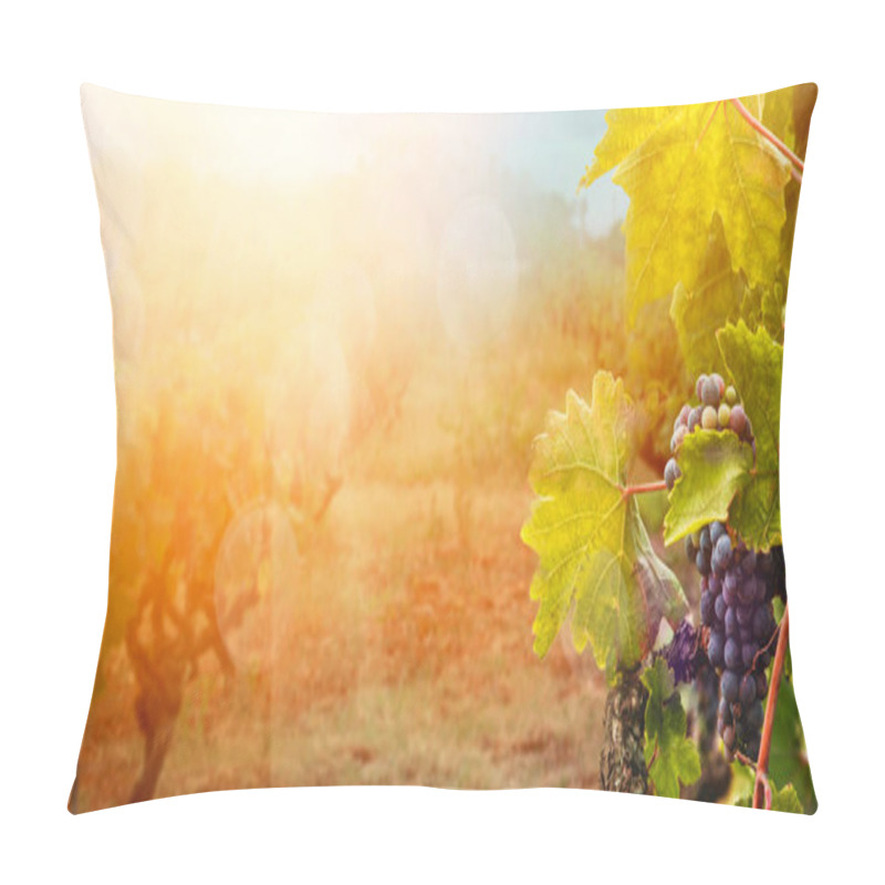 Personality  Vineyard In Autumn Harvest Pillow Covers