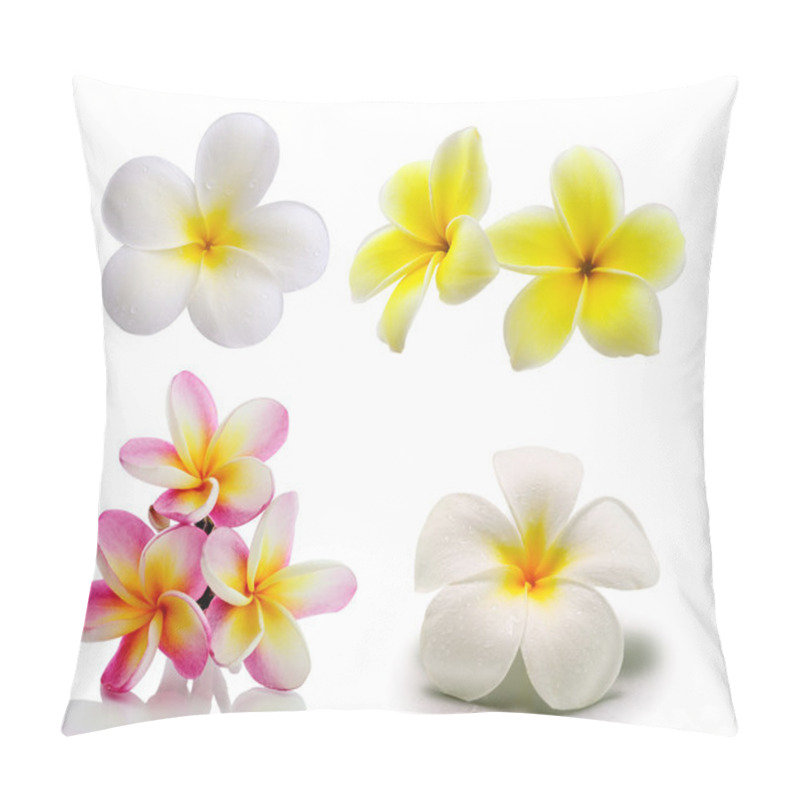 Personality  Tropical Flowers Frangipani (plumeria) Isolated On White Backgro Pillow Covers