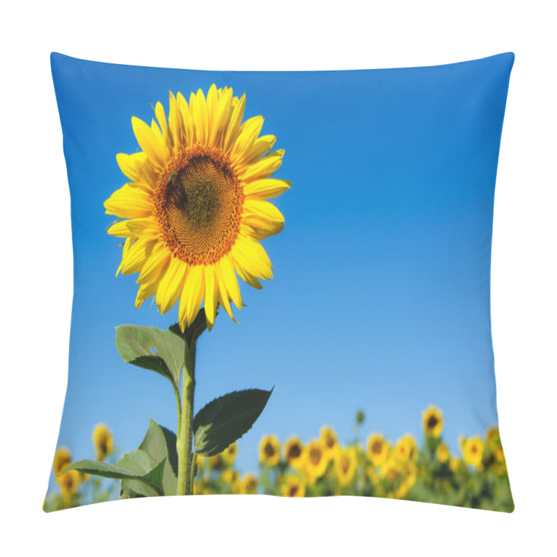 Personality  Landscape With Sunflower Pillow Covers